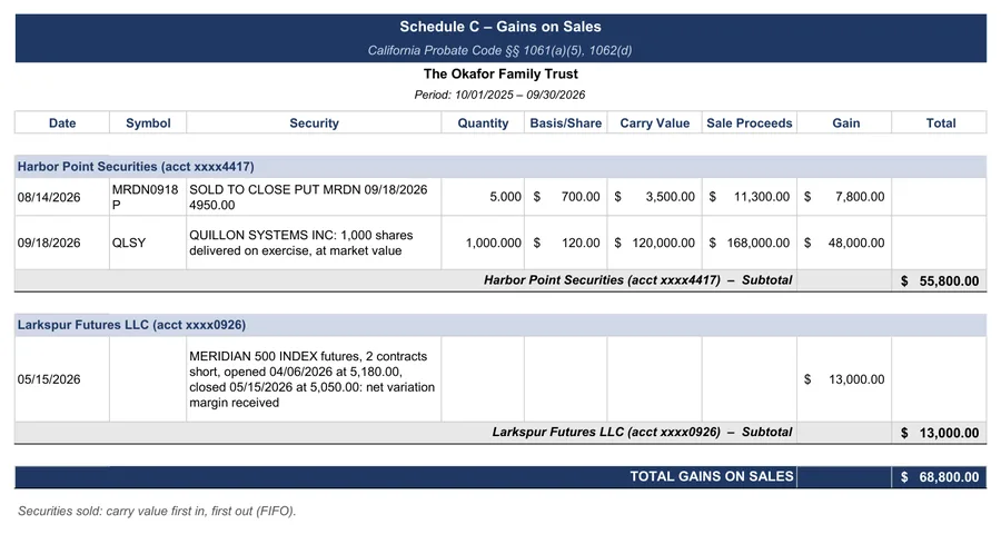 Sample accounting: Schedule C: gains